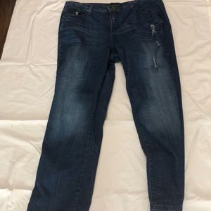 Lane Bryant women’s denim